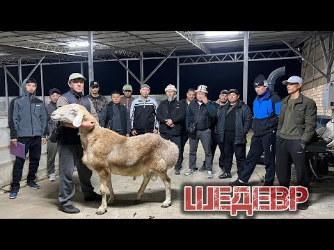 Видео: Атактуу ШЕДЕВРдин козуларыны БАТКЕН жамааты көрүп соода кылды! Бакыт ажы +996779775044