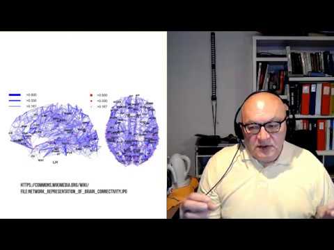 Видео: Ю.П. Данилов. Разговоры о физиологии. Выпуск Y-III: Сложность мозга