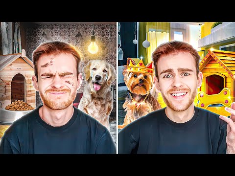 Видео: Як ВИЖИВАЄ студент-ветеринар ?