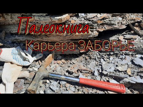 Видео: Карьер Заборье. Серпуховский ярус.