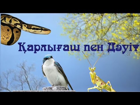 Видео: Қарлығаш пен Дәуіт #аңыз #легенда #әңгімелер