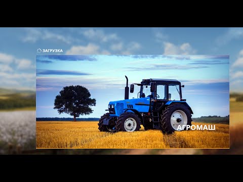Видео: Farming Simulator 19 Агромаш #2 Овцы и сено