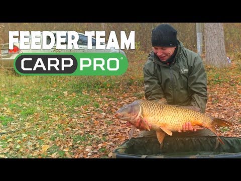 Видео: Команда Carp Pro .Ловля карпа и леща поздней осенью.