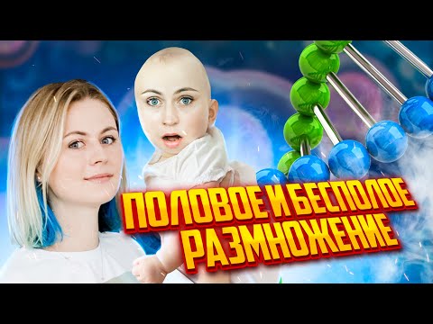 Видео: Половое и бесполое размножение! Изменчивость | ЕГЭ по биологии | Летняя школа |100балльный репетитор