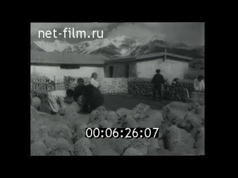 Видео: 1954г. совхоз Тамчи. озеро Иссык -Куль. Киргизия