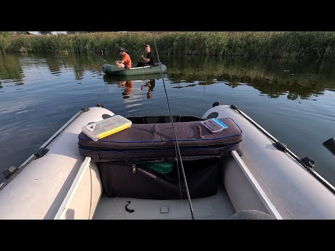 Видео: Мор Щуки. Зустрів підписників.