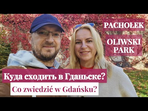 Видео: Гданьск. Смотровая площадка на Холме Пахолек, парк Оливский. Wzgórze Pachołek. Park Oliwski. Gdańsk