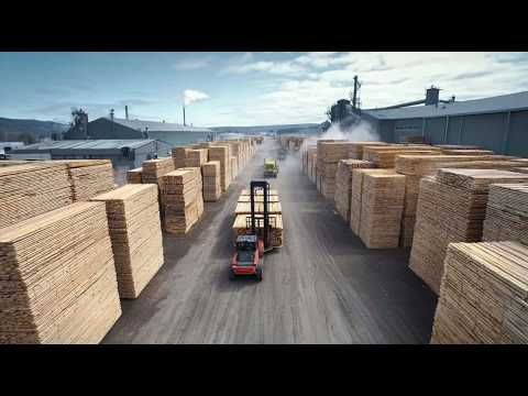 Видео: История лесозаготовок в Америке: от заготовки древесины до готовых пиломатериалов