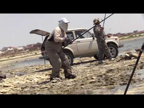 Видео: Рыбалка на Девятнадцатом км