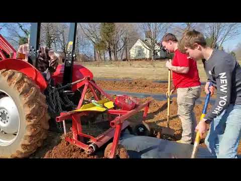 Видео: Технология посадки голубики в Америке часть  2