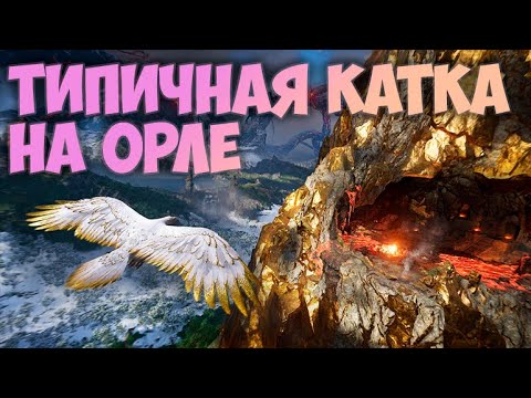 Видео: Орёл не имба и вот почему XD #нордгард