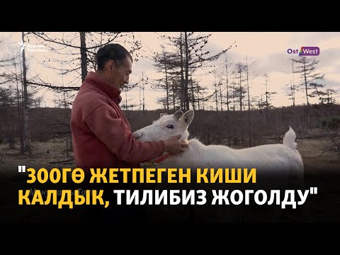 Видео: Сахалин: Жоголуп бараткан эки элдин тагдыры