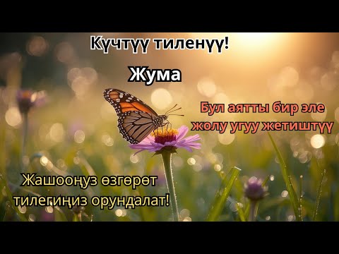 Видео: Ырыскы менен ийгилик тартуучу сырдуу сүрө