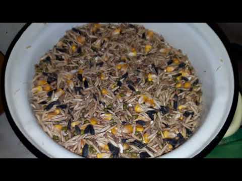 Видео: замачивание сухих кормов для попугаев