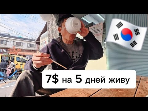 Видео: Челендж прожить 5 дней на 7$, возможно? #жизньвюжнойкорее#отдыхвкорее #работавкорее#кино#automobile