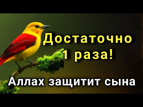 Видео:  ЭТО САМАЯ СИЛЬНАЯ МОЛИТВА ЗА СЫНА!СПАСЁТ ОТ БЕДЫ ЗЛЫХ ЛЮДЕЙ ПОРЧИ СГЛАЗА СИЛЬНЫЙ ОБЕРЕГ! ✨💯