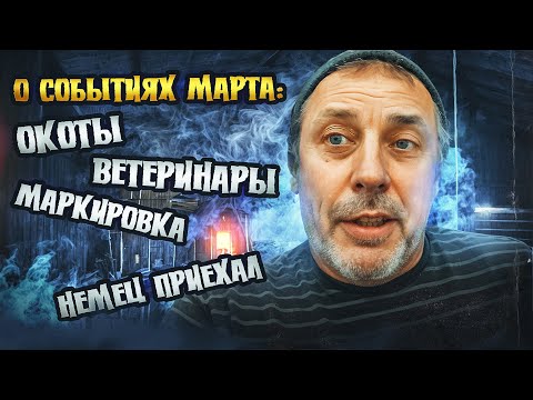 Видео: Обзор марта: окоты, ветеринары, маркировка и многое другое. "Мое Подворье"