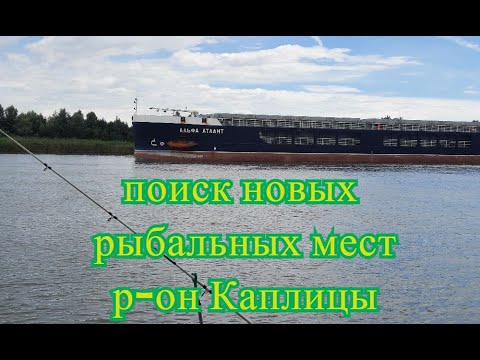 Видео: Поиск новых рыбальных мест на Дону в р-оне г. Старочеркасска, Алитуба  и Каплицы.