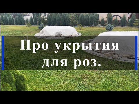 Видео: Про укрытия для роз. Питомник растений Е. Иващенко