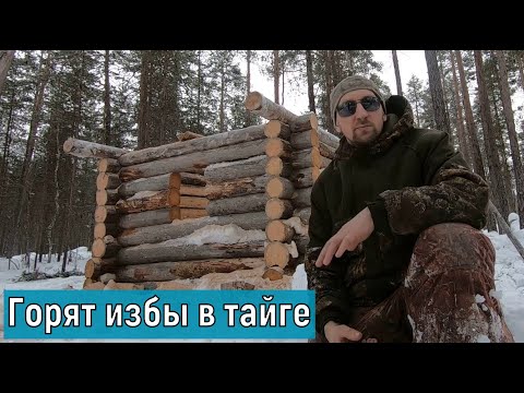 Видео: Строю зимовье.Закон тайги.Они жгут избы!