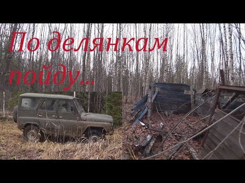 Видео: В лес с ночевкой. По следам лесорубов. Нашёл старую избушку.