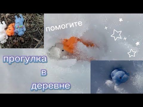 Видео: прогулка сквиши собак в деревне🐾