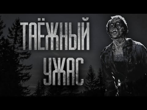 Видео: САМАЯ СТРАШНАЯ НОЧЬ В ТАЙГЕ... Страшные истории на ночь