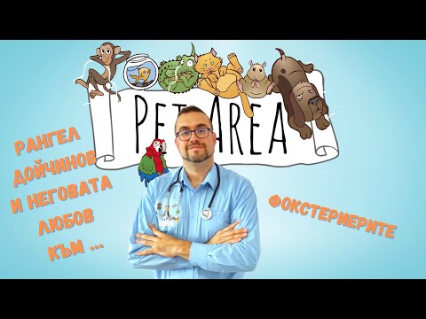 Видео: ГРУБОКОСМЕСТ ФОКСТЕРИЕР - РАЗГОВОР С РАНГЕЛ ДОЙЧИНОВ