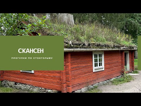 Видео: СКАНСЕН