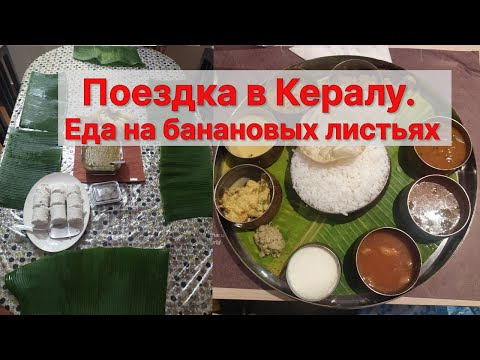 Видео: Индийский штат Керала. Южноиндийская кухня