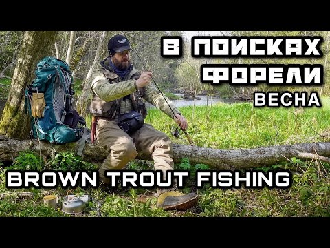 Видео: РЫБАЛКА на ФОРЕЛЬ на ВОБЛЕРЫ Поиск и Разведка | ХАРИУС ЖАРЕНЫЙ Рисовая лапша КОФЕ Обед в Лесу | АСМР