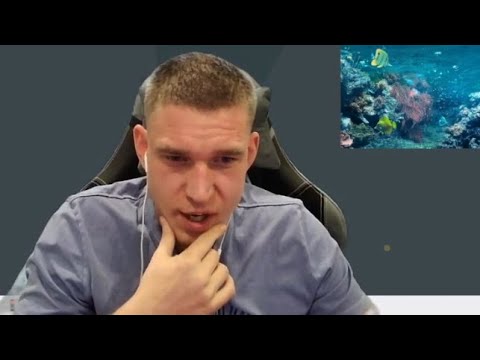 Видео: Ресторатор проходит тест на эрудицию