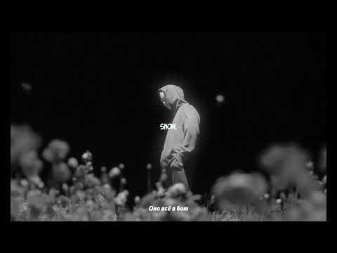 Видео: масло чёрного тмина - тысячу раз спокойной ночи (slowed+reverb by snow.)