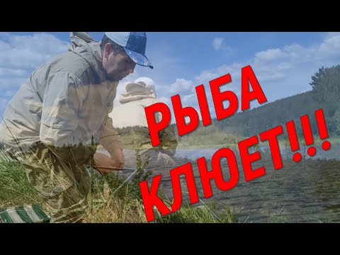 Видео: Чудо место!!! Рыба клюет!!!