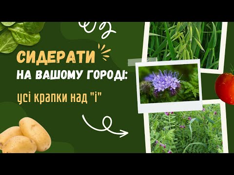 Видео: Як обрати сидерати для власного городу (а також довідкова таблиця в описі під відео)