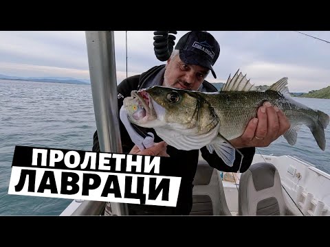 Видео: Със СКАРИДИ за ЛАВРАЦИ / Пролетта на лавраците - 2 част