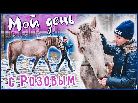 Видео: МОЙ ДЕНЬ НА КОНЮШНЕ с Розовым / Верхом от первого лица