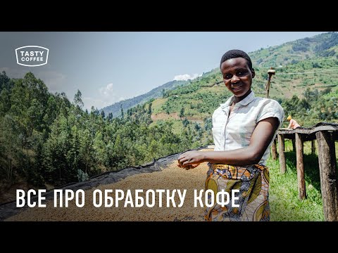 Видео: Как обрабатывают кофе в разных странах мира.
