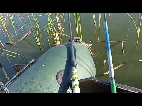 Видео: Продолжение...Когда ты не хочешь ловить щук,то они начинают тебя атаковать!