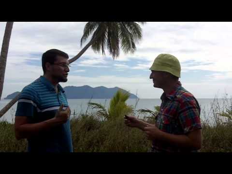 Видео: 6 рычагов маркетинга от Александра Левитаса