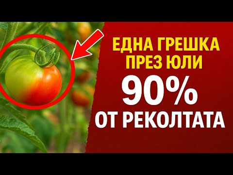 Видео: Само една грешка в градината през юли ще ви коства 90% от реколтата.