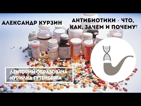 Видео: Александр Курзин - Что такое антибиотики