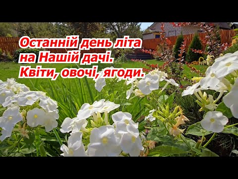 Видео: Наша Дача в останній день літа. Влогове відео.