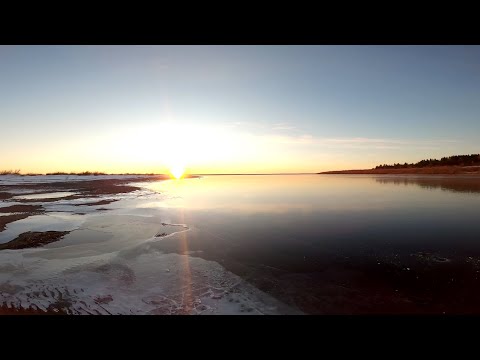 Видео: Первый лёд 2025 2026 Рыбалка, Налим на стук👍