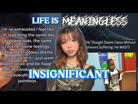 Видео: нахождение цели в нашем незначительном существовании