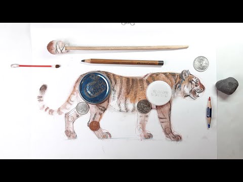 Видео: Простое рисование тигра. A simple drawing of a tiger.
