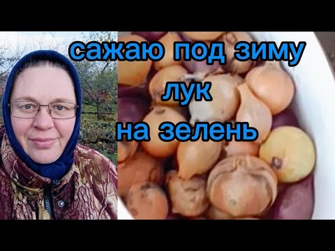 Видео: самое время сажать лук на зелень #бабушка_блогер #деревенскаябабушкаблогер