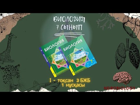 Видео: 7 сынып 1 токсан 3 бжб 1 нуска, 7 сынып 1 тоқсан 3 бжб 1 нұсқа