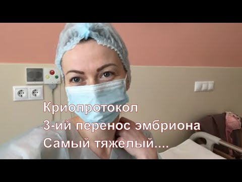 Видео: VLOG: КАЧЕСТВО ЭМБРИОНОВ/СТОИМОСТЬ ЭКО/МОЯ ИСТОРИЯ