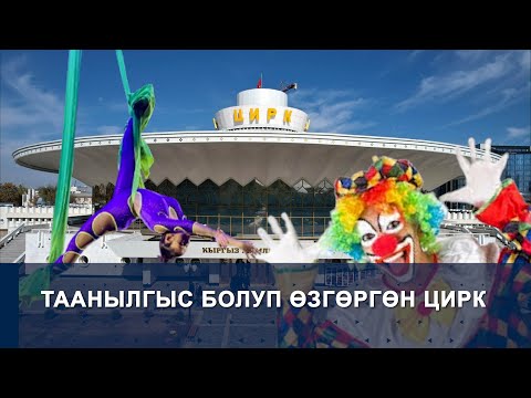 Видео: ТААНЫЛГЫС БОЛУП ӨЗГӨРГӨН ЦИРК